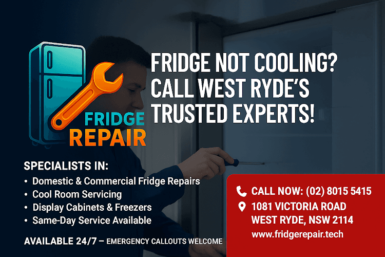 Fridge Repair