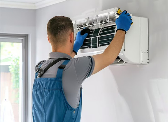 SEQ Sparky in Mount Gravatt East